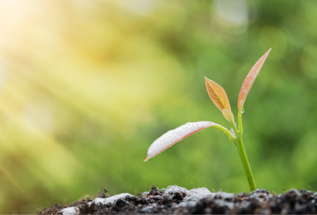 3-Session Package - €210